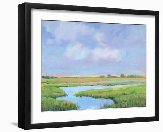 Summer Marsh II-Tim OToole-Framed Art Print