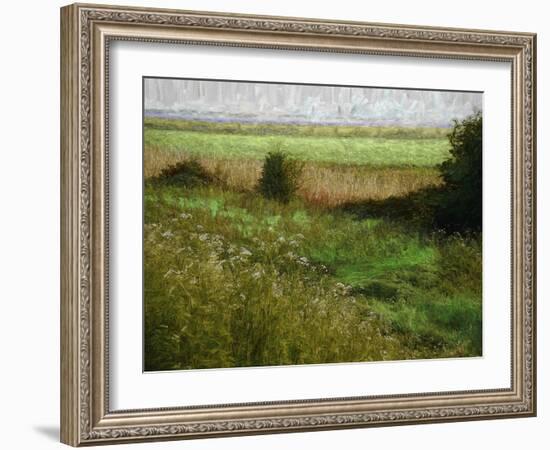 Summer Meadow, 2019, painting-Helen White-Framed Giclee Print