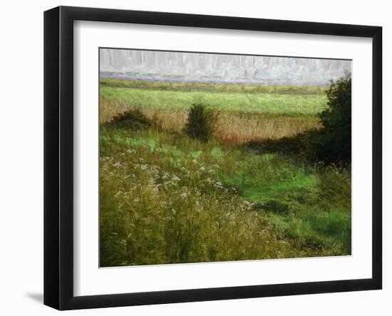 Summer Meadow, 2019, painting-Helen White-Framed Giclee Print