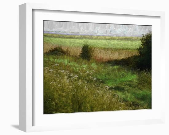 Summer Meadow, 2019, painting-Helen White-Framed Giclee Print