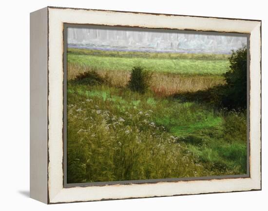 Summer Meadow, 2019, painting-Helen White-Framed Premier Image Canvas