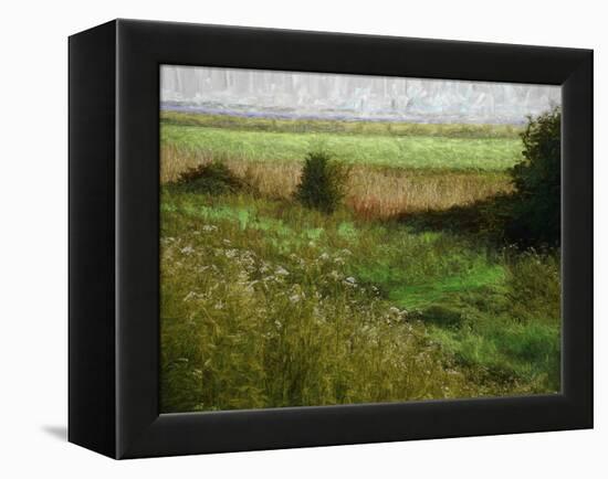 Summer Meadow, 2019, painting-Helen White-Framed Premier Image Canvas