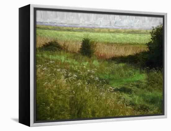 Summer Meadow, 2019, painting-Helen White-Framed Premier Image Canvas