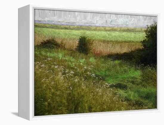 Summer Meadow, 2019, painting-Helen White-Framed Premier Image Canvas
