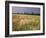 Summer Meadow with Poppies, Near Chateaumeillant, Loire Centre, Centre, France-Michael Busselle-Framed Photographic Print