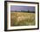 Summer Meadow with Poppies, Near Chateaumeillant, Loire Centre, Centre, France-Michael Busselle-Framed Photographic Print