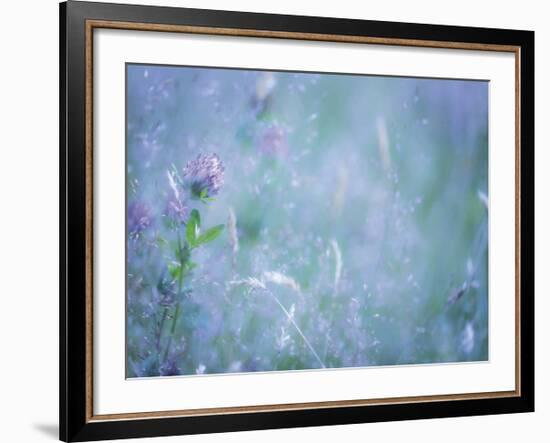 Summer Meadow-Don Paulson-Framed Giclee Print