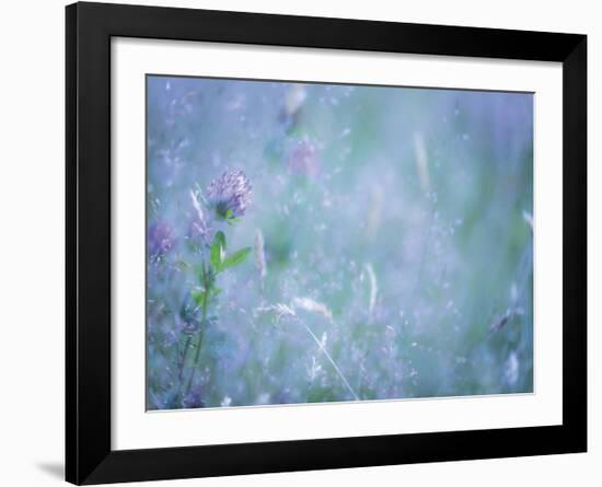 Summer Meadow-Don Paulson-Framed Giclee Print