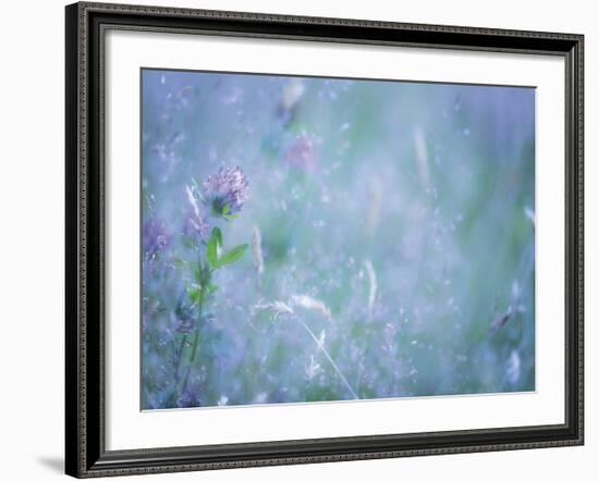 Summer Meadow-Don Paulson-Framed Giclee Print