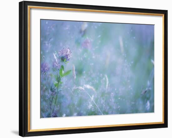 Summer Meadow-Don Paulson-Framed Giclee Print