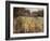 Summer Meadow-Henry Henry-Framed Giclee Print