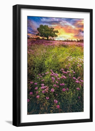 Summer Meadows-Celebrate Life Gallery-Framed Giclee Print