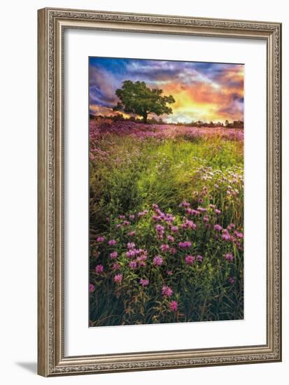 Summer Meadows-Celebrate Life Gallery-Framed Giclee Print