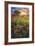 Summer Meadows-Celebrate Life Gallery-Framed Giclee Print