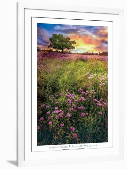 Summer Meadows-Celebrate Life Gallery-Framed Art Print