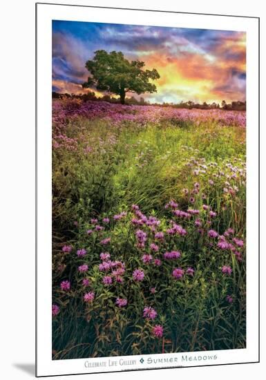 Summer Meadows-Celebrate Life Gallery-Mounted Art Print