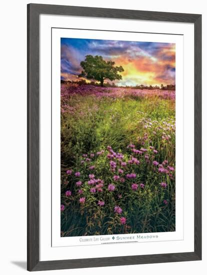 Summer Meadows-Celebrate Life Gallery-Framed Art Print