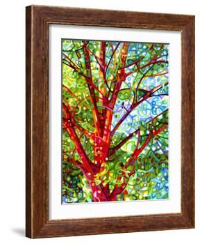 Summer Medley-Mandy Budan-Framed Giclee Print