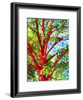 Summer Medley-Mandy Budan-Framed Giclee Print
