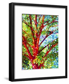 Summer Medley-Mandy Budan-Framed Giclee Print