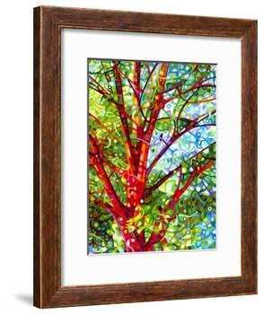 Summer Medley-Mandy Budan-Framed Giclee Print