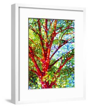 Summer Medley-Mandy Budan-Framed Giclee Print