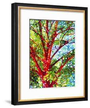 Summer Medley-Mandy Budan-Framed Giclee Print