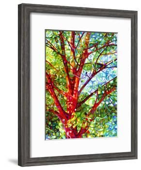 Summer Medley-Mandy Budan-Framed Giclee Print
