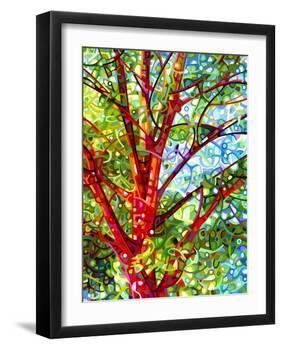 Summer Medley-Mandy Budan-Framed Giclee Print