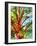 Summer Medley-Mandy Budan-Framed Giclee Print