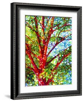 Summer Medley-Mandy Budan-Framed Giclee Print