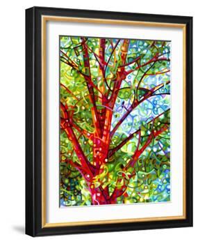 Summer Medley-Mandy Budan-Framed Giclee Print