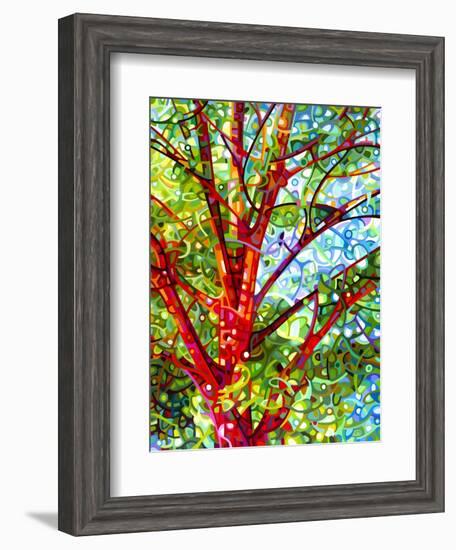 Summer Medley-Mandy Budan-Framed Giclee Print