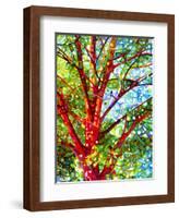 Summer Medley-Mandy Budan-Framed Giclee Print