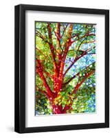 Summer Medley-Mandy Budan-Framed Giclee Print