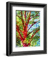 Summer Medley-Mandy Budan-Framed Giclee Print
