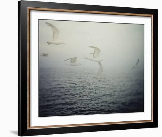 Summer Migration-Irene Suchocki-Framed Giclee Print