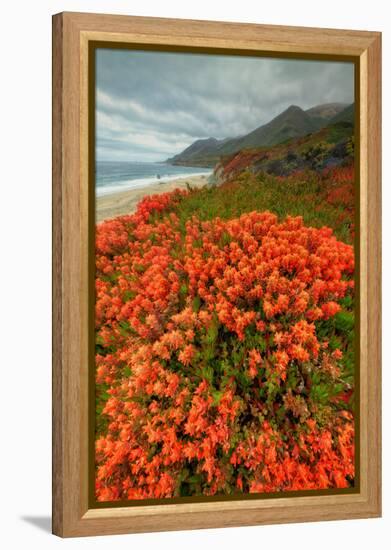 Summer Morning Coastal Color-Vincent James-Framed Premier Image Canvas