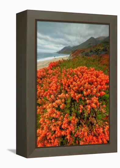 Summer Morning Coastal Color-Vincent James-Framed Premier Image Canvas