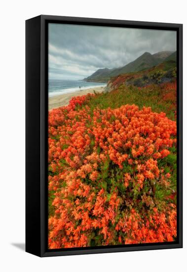 Summer Morning Coastal Color-Vincent James-Framed Premier Image Canvas