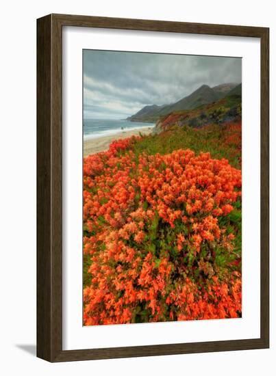 Summer Morning Coastal Color-Vincent James-Framed Photographic Print