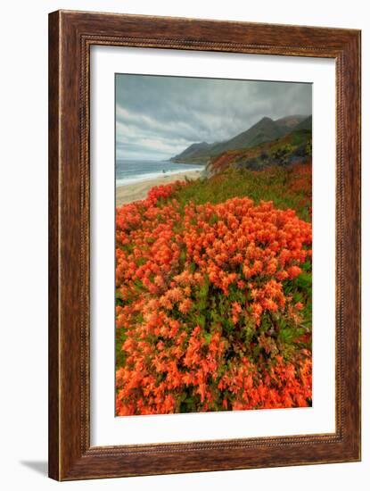 Summer Morning Coastal Color-Vincent James-Framed Photographic Print