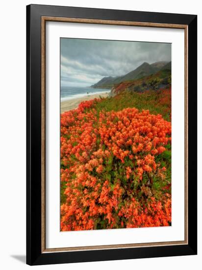 Summer Morning Coastal Color-Vincent James-Framed Photographic Print