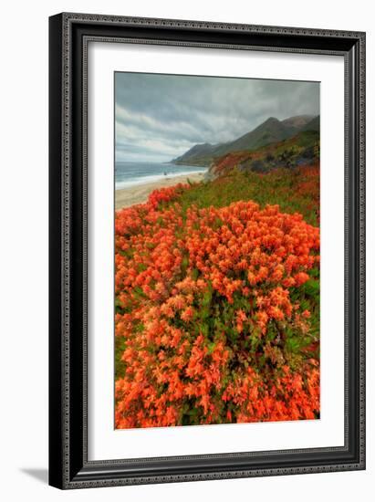 Summer Morning Coastal Color-Vincent James-Framed Photographic Print