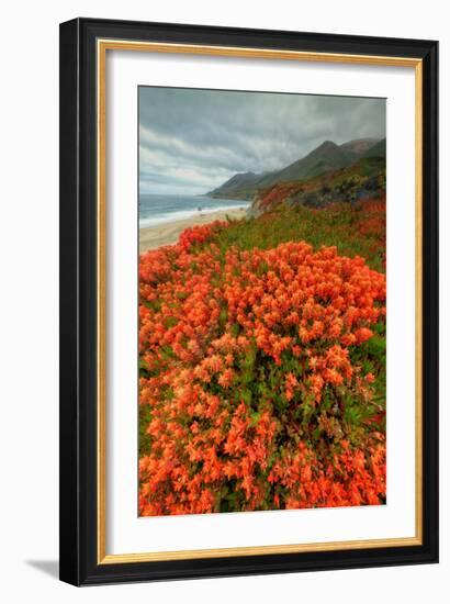 Summer Morning Coastal Color-Vincent James-Framed Photographic Print