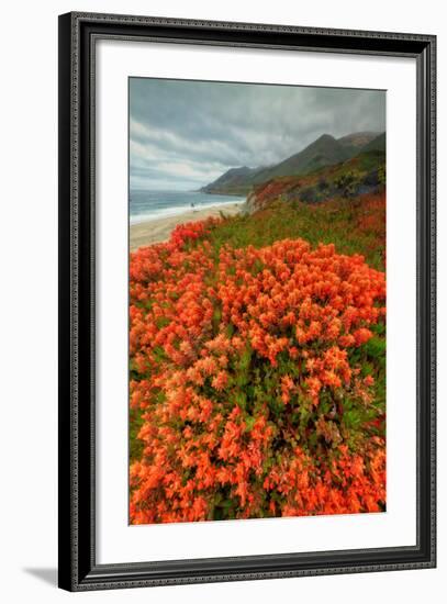 Summer Morning Coastal Color-Vincent James-Framed Photographic Print