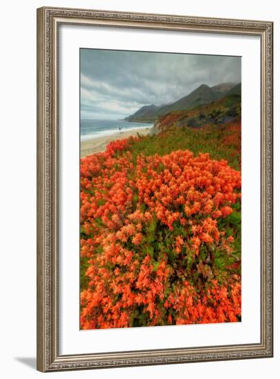 Summer Morning Coastal Color-Vincent James-Framed Photographic Print