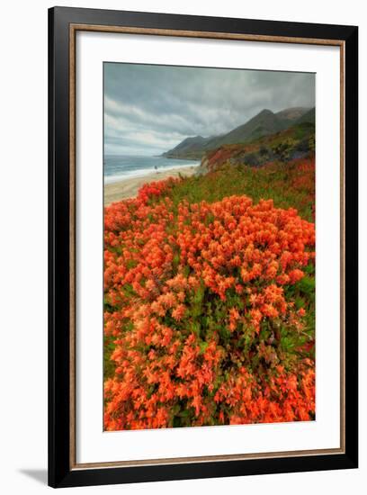 Summer Morning Coastal Color-Vincent James-Framed Photographic Print