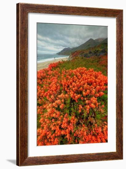 Summer Morning Coastal Color-Vincent James-Framed Photographic Print