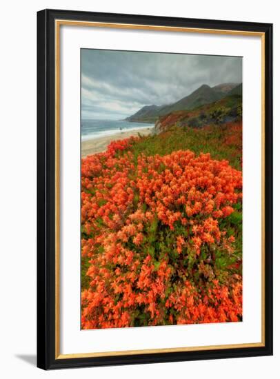 Summer Morning Coastal Color-Vincent James-Framed Photographic Print